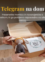 telegram na dom